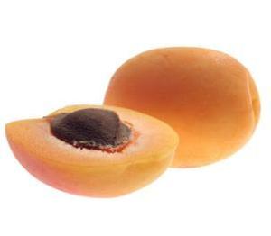 살구씨 오일 (Apricot kernel oil) -정제